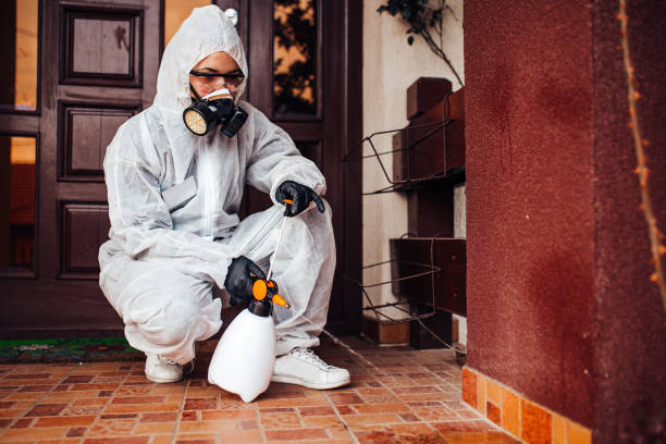 Reliable Wasp Removal contractor in Fort Stewart, GA by Show Me Pest Control